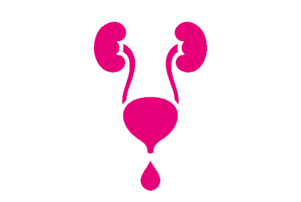 Urinary Tract Infection